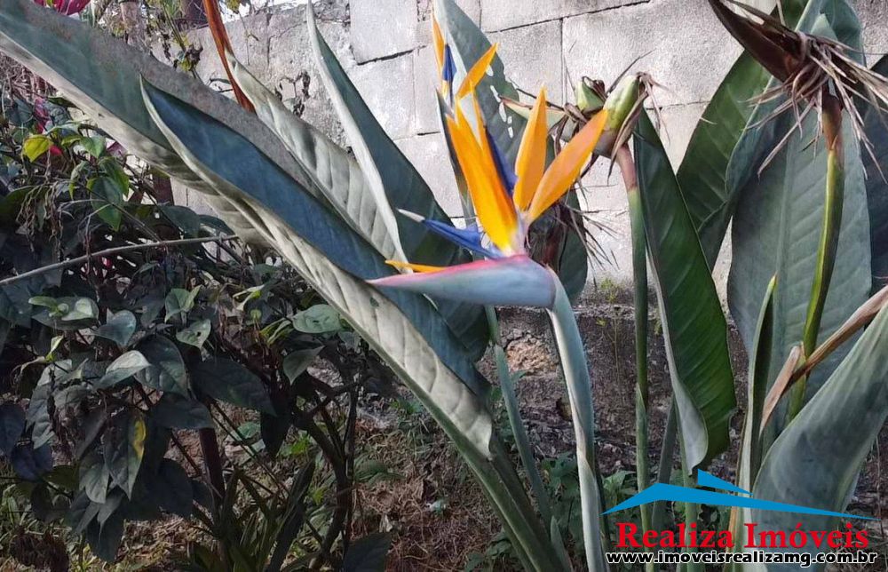 Foto Imóvel 1029
