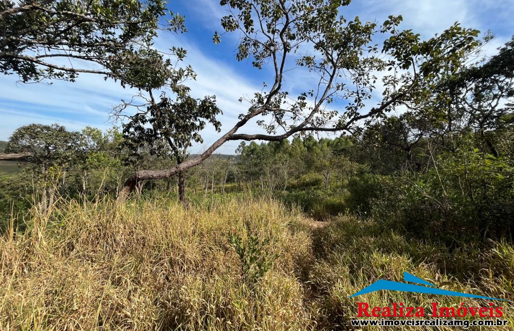 Foto Imóvel 1045