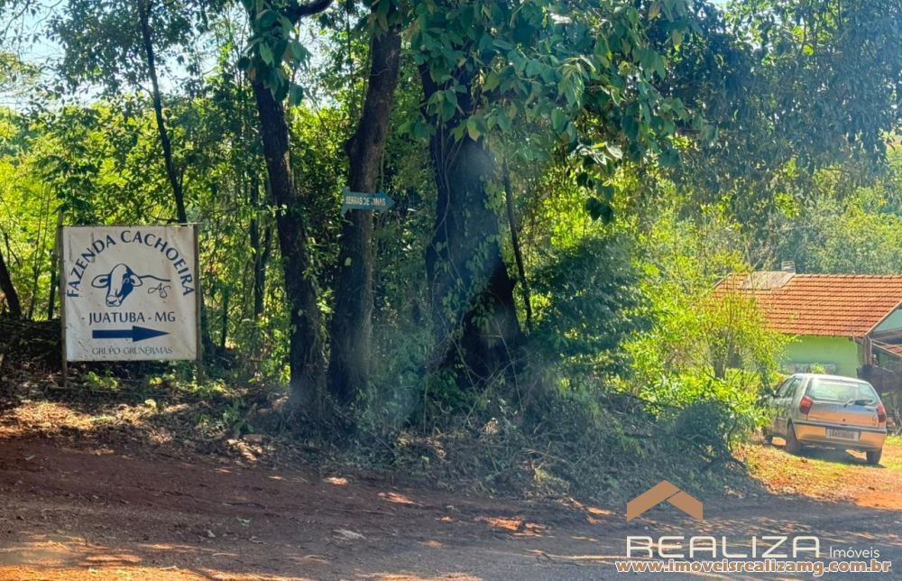 Foto Im&oacute;vel 1593
