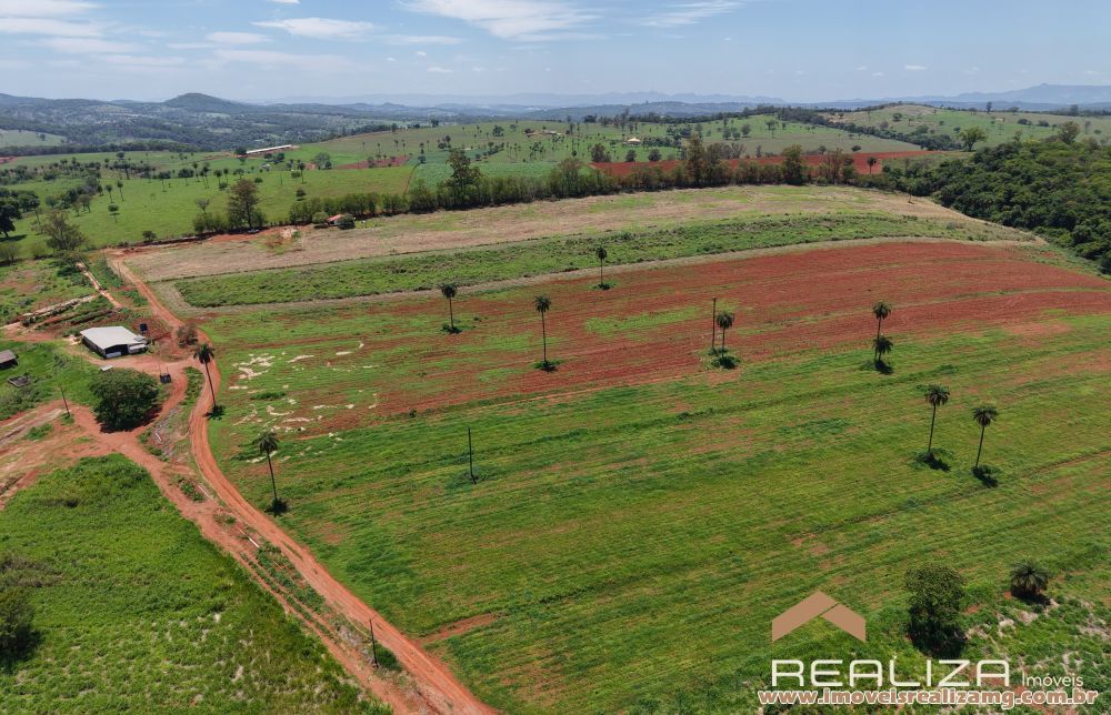 Foto Im&oacute;vel 1593