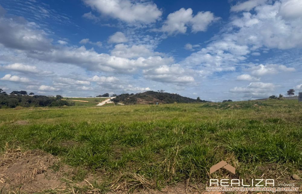 Foto Im&oacute;vel 1709