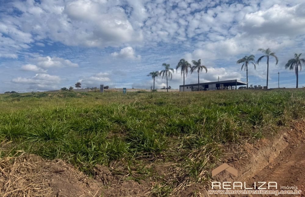 Foto Im&oacute;vel 1709