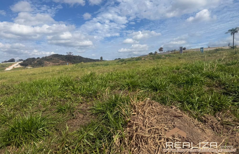 Foto Im&oacute;vel 1709