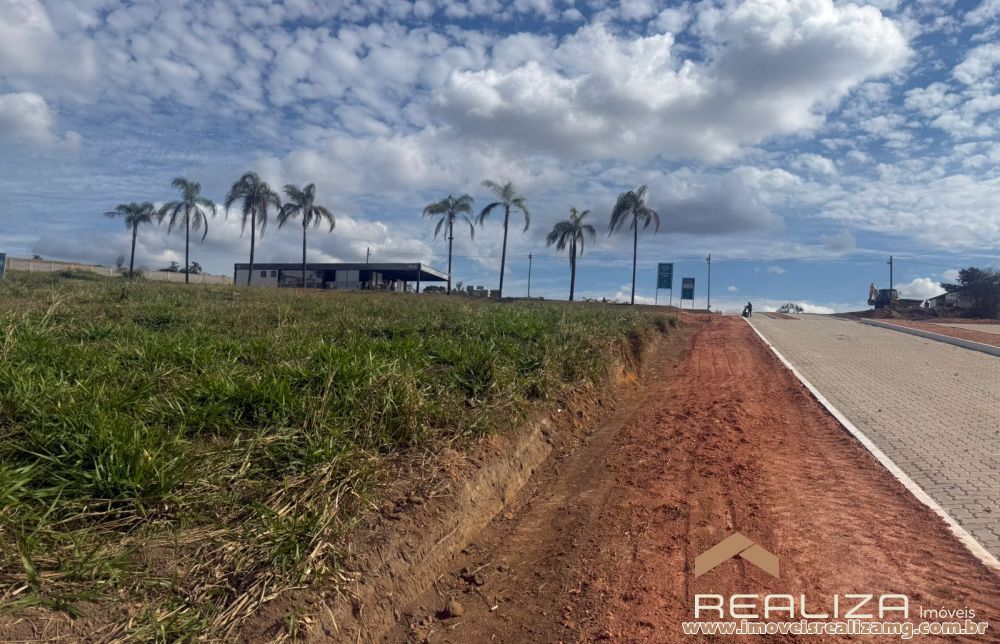 Foto Im&oacute;vel 1709