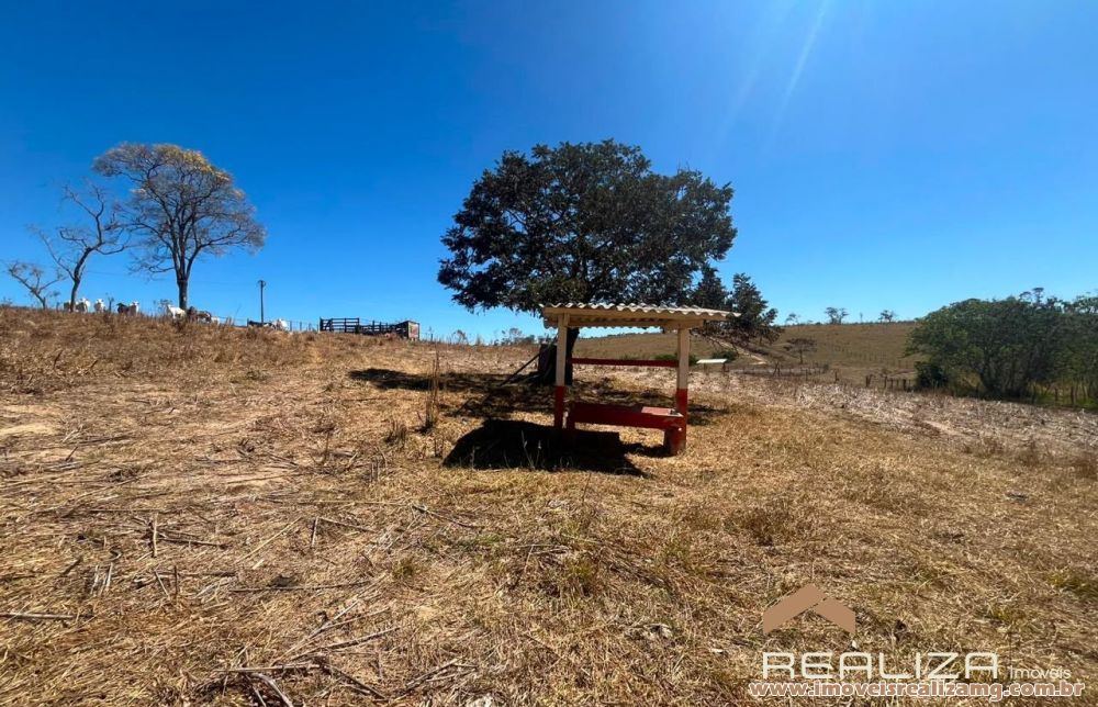 Foto Im&oacute;vel 1733