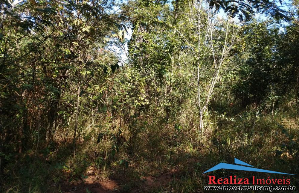 Foto Imóvel 246