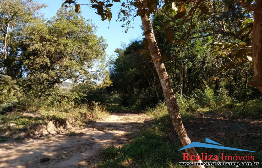 Foto Imóvel 246