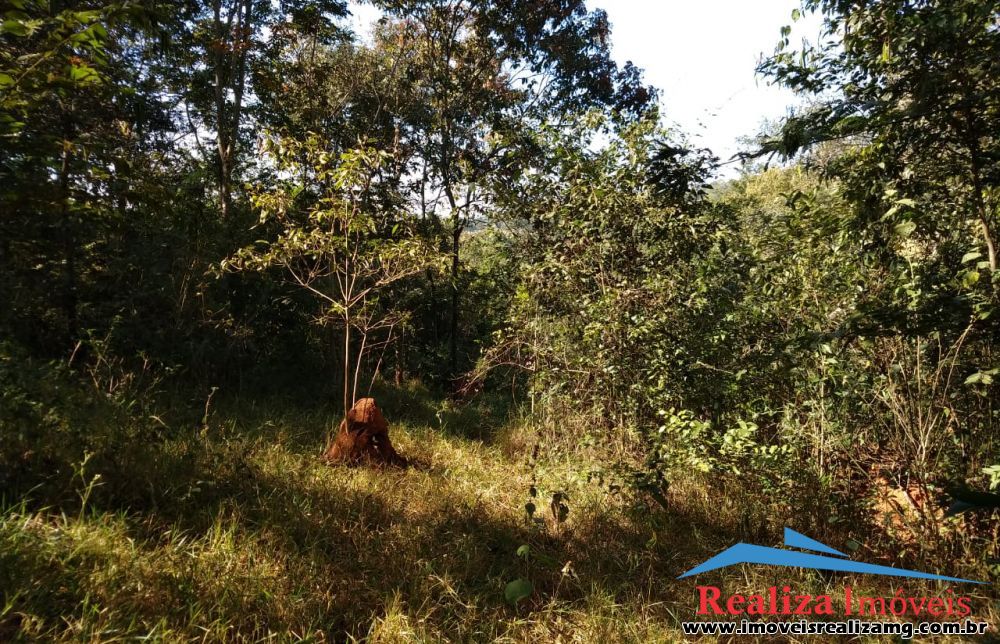 Foto Imóvel 246