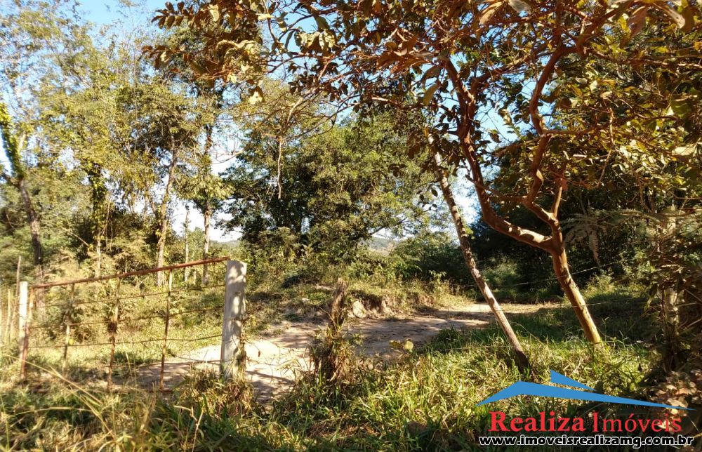 Foto Imóvel 246