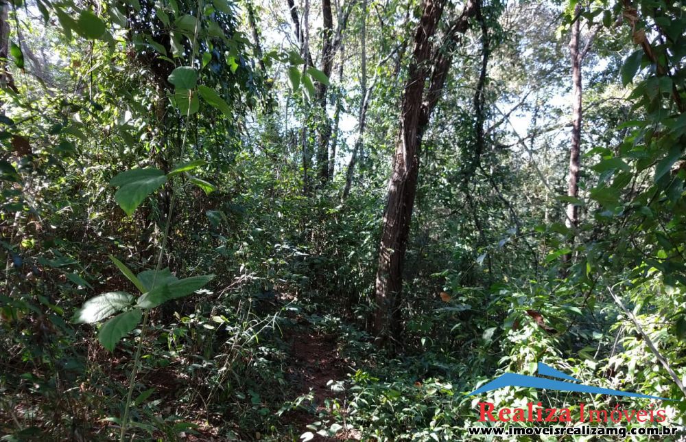 Foto Imóvel 246