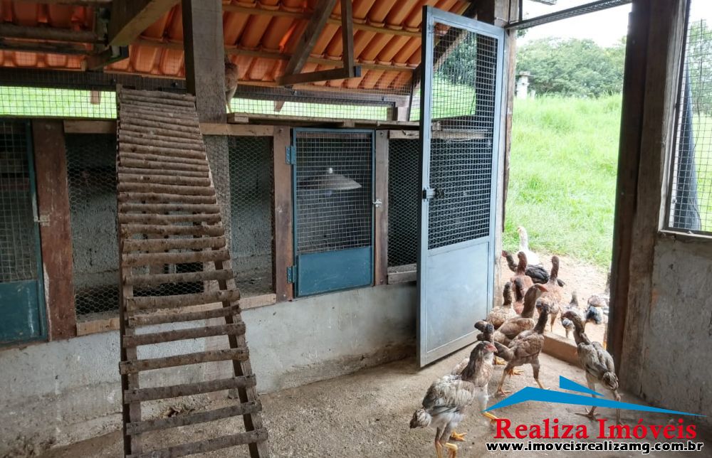 Foto Imóvel 525
