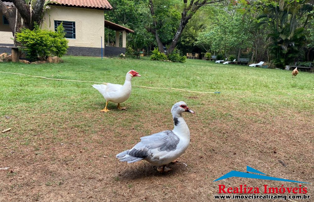 Foto Imóvel 705