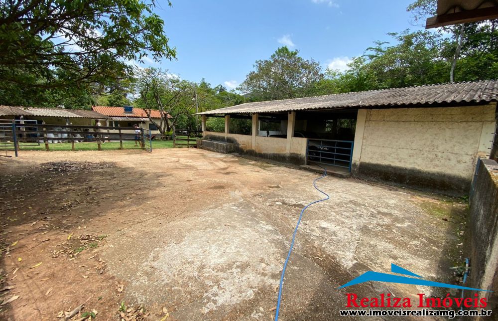 Foto Imóvel 705