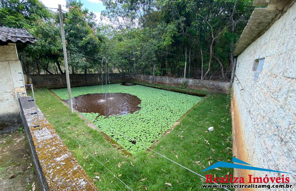 Foto Imóvel 705
