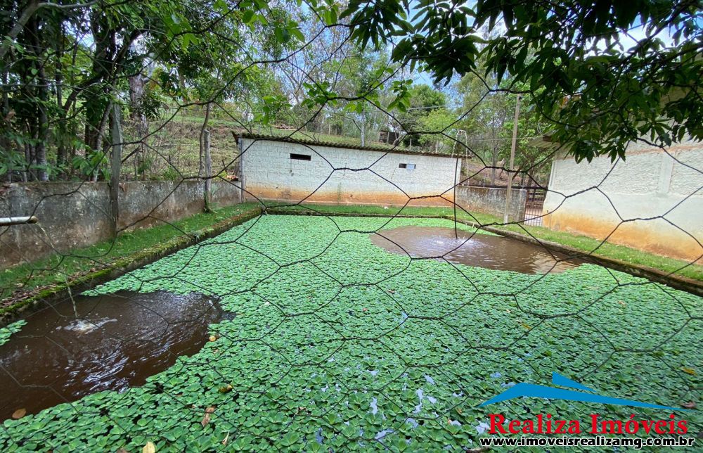 Foto Imóvel 705