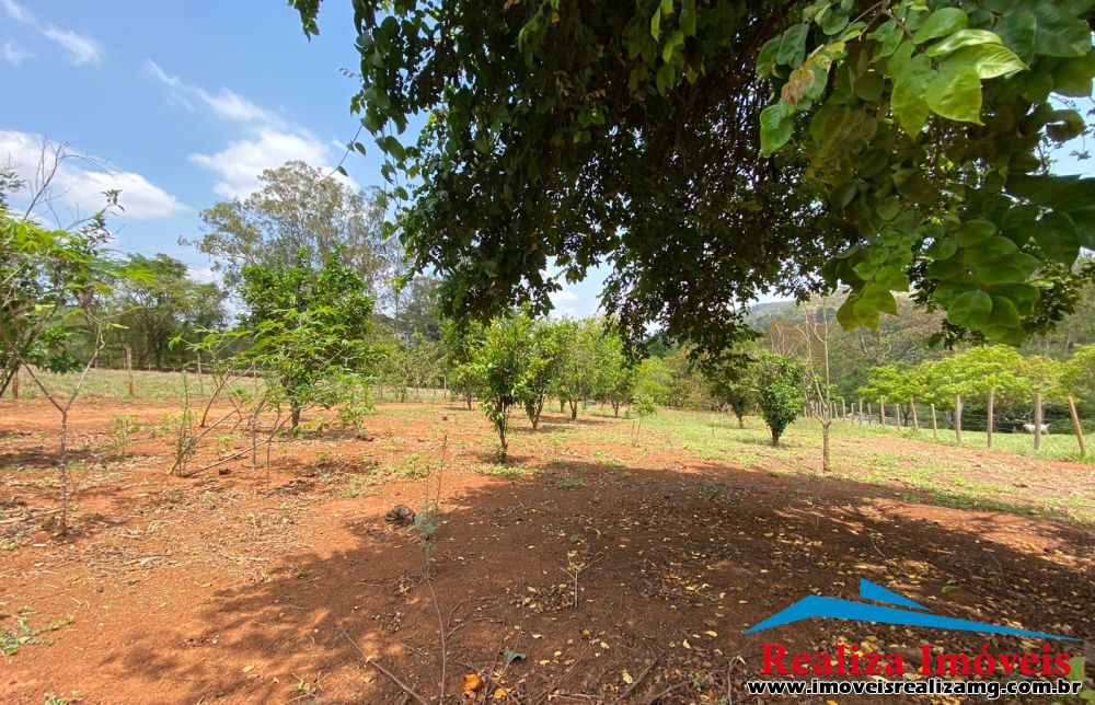Foto Imóvel 705