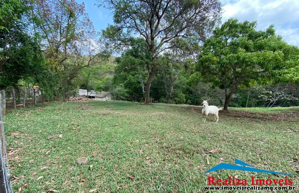Foto Imóvel 705