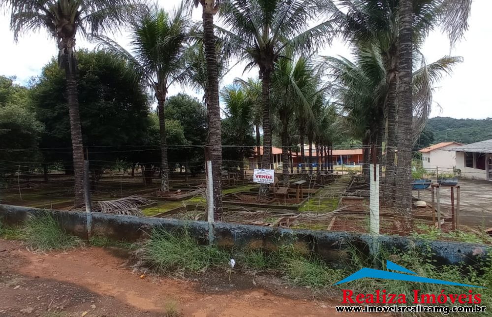 Foto Imóvel 785