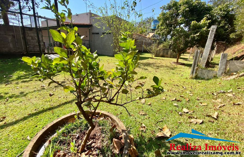 Foto Imóvel 816