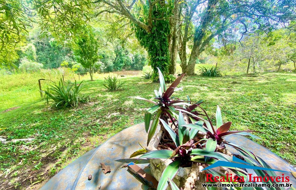 Foto Imóvel 855