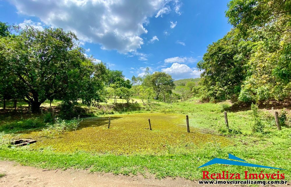 Foto Imóvel 855
