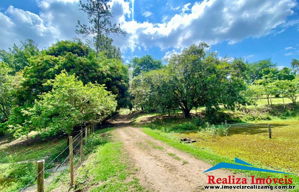 Foto Imóvel 855