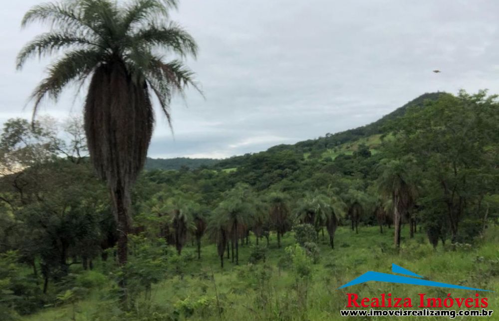 Lote/Terreno a venda em Florestal