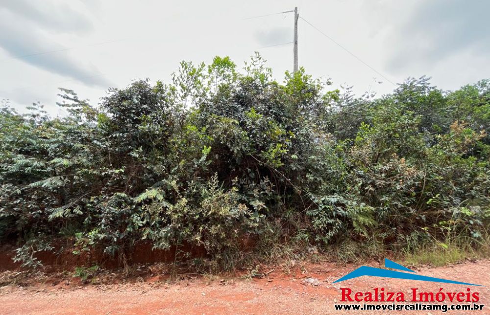 Foto Imóvel 952