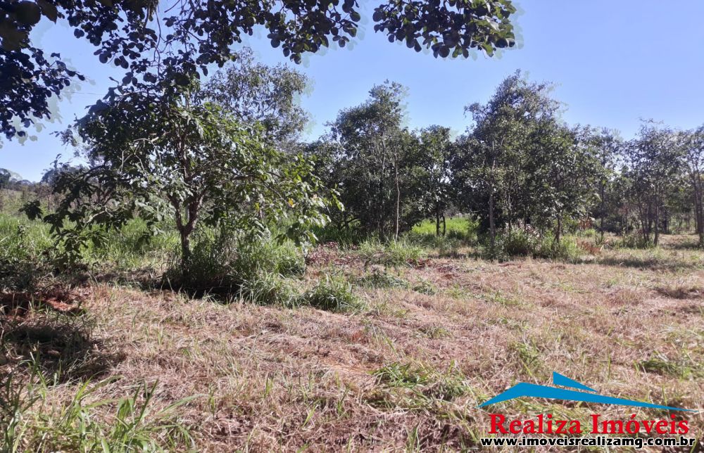 Lote/Terreno a venda em Martinho Campos