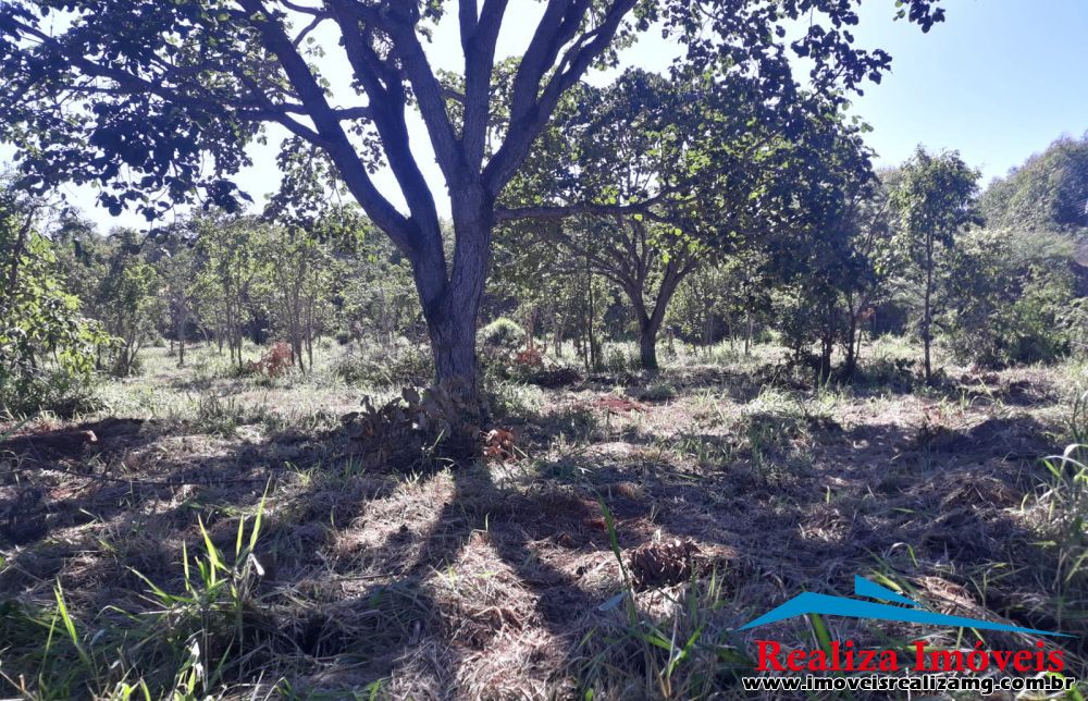 Foto Imóvel 973