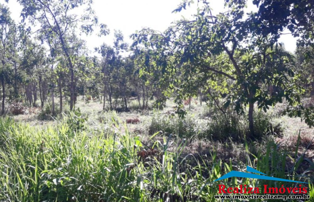 Foto Imóvel 973